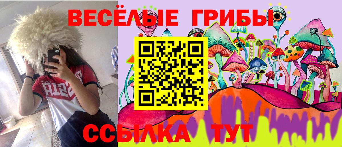 Псилоцибиновые грибы ЛСД Фролово