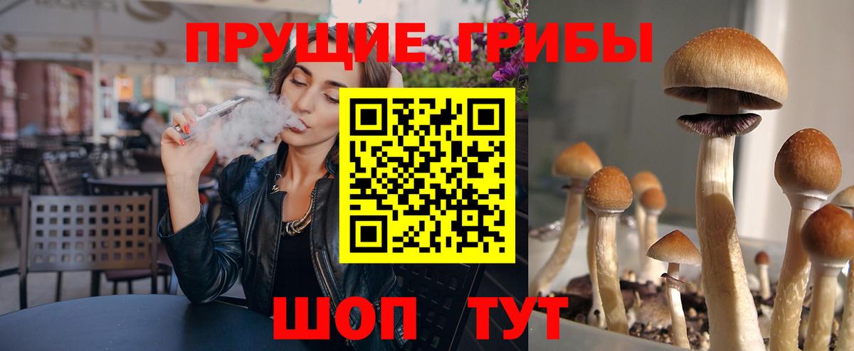 Фролово  Псилоцибиновые грибы Magic Shrooms  Вход с VPN  Галлюциногенные грибы прущие грибы 