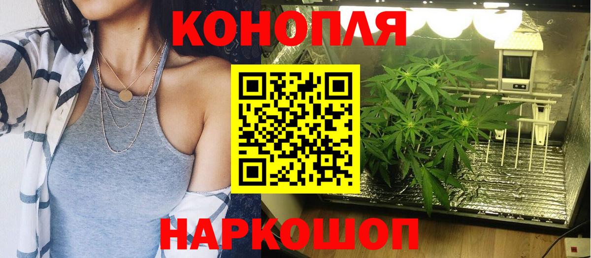 Фролово  Марихуана THC 21%  Каннабис семена  Конопля план  Вход с VPN 